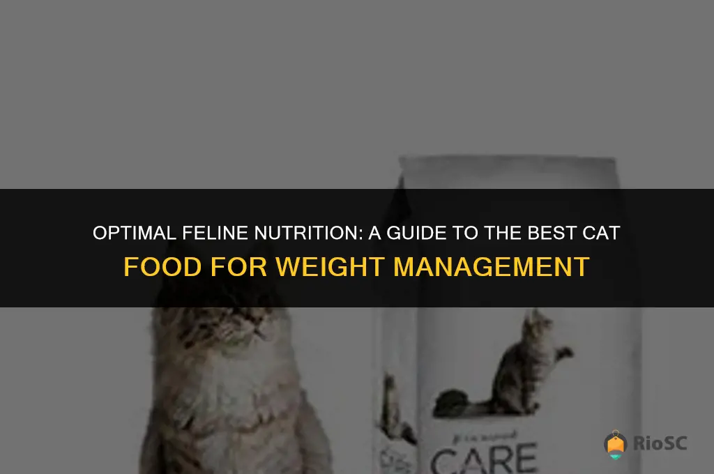 best cat food foe weighr managament