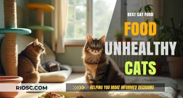 Nutrition for Feline Wellness: Unveiling the Best Cat Food Options for Unhealthy Cats