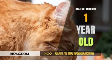 Purr-fect Nutrition: Top Cat Food Picks for Your One-Year-Old Feline Friend