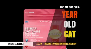 Nutrition for Senior Felines: Top Cat Food Picks for Your 10-Year-Old Companion