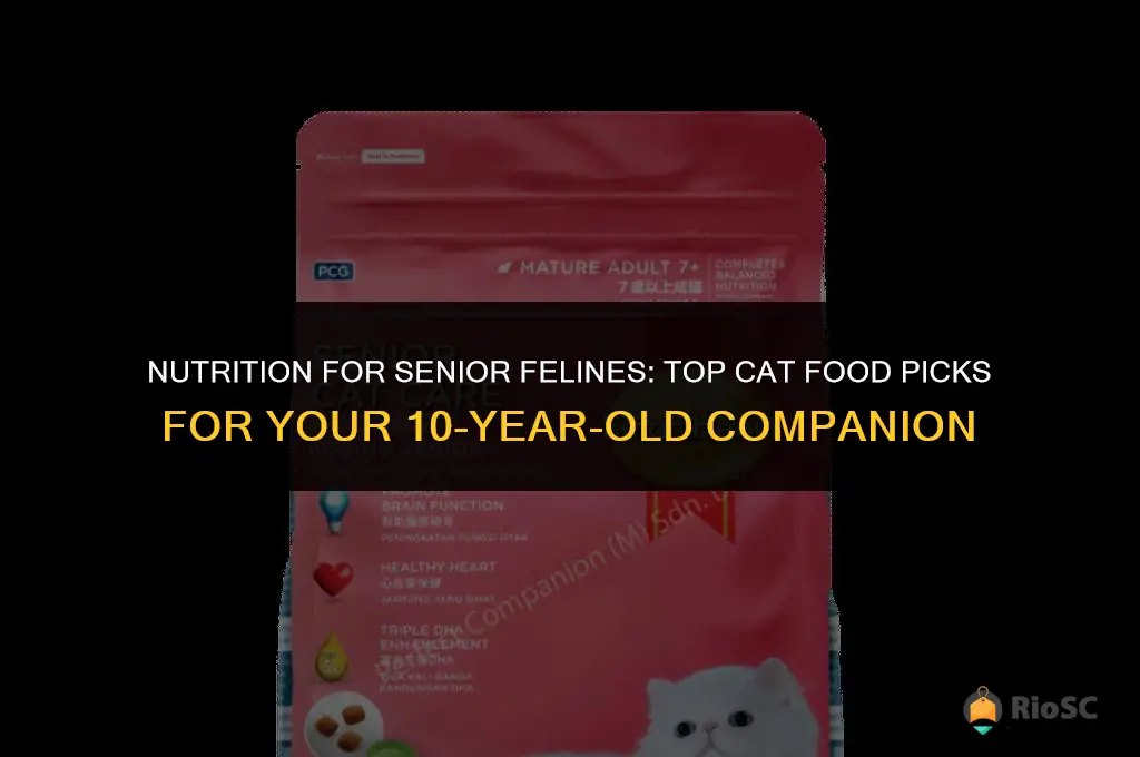 best cat food for 10 year old cat