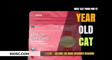 Nutritional Essentials for Senior Felines: Top Cat Food Picks for Your 17-Year-Old Companion