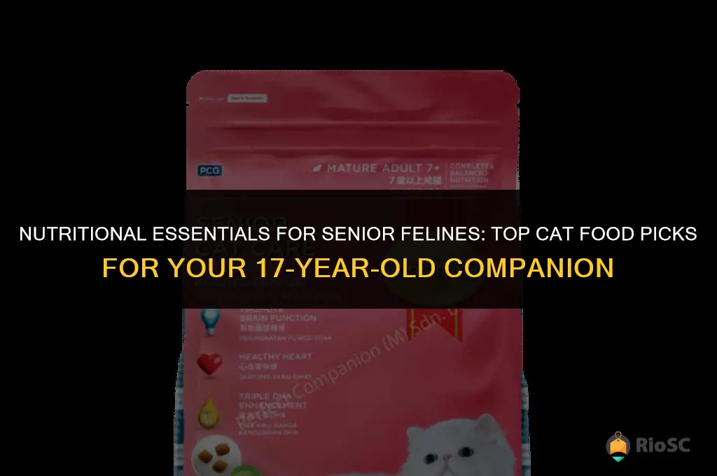 best cat food for 17 year old cat