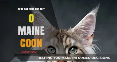 Nutritional Essentials for Senior Maine Coons: Top Cat Food Picks for Your 18-Year-Old Feline Friend
