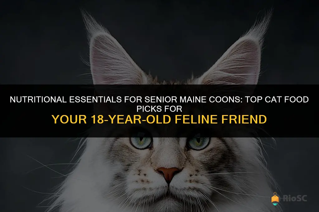 best cat food for 18 y o maine coon
