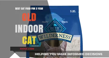 Purr-fect Nutrition: Top Cat Food Picks for Your 3-Year-Old Indoor Feline Friend