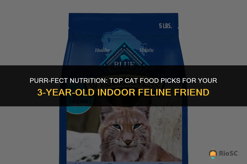 best cat food for 3 year old indoor cat