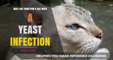 Top Picks for Feline Yeast Infection Diets: A Comprehensive Guide to the Best Cat Foods