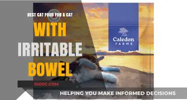 Top Picks for Soothing Your Feline's Tummy: The Best Cat Food for Irritable Bowel Syndrome