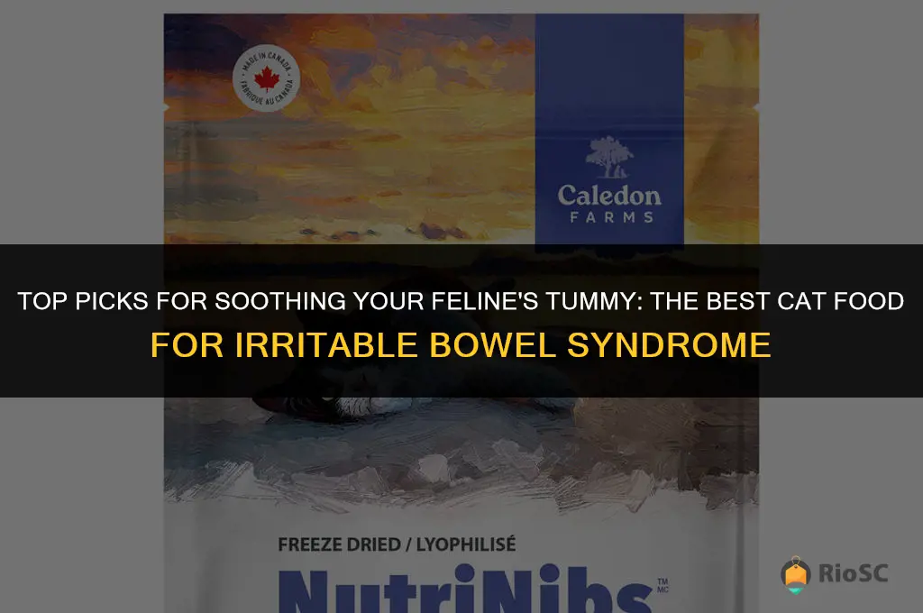 best cat food for a cat with irritable bowel
