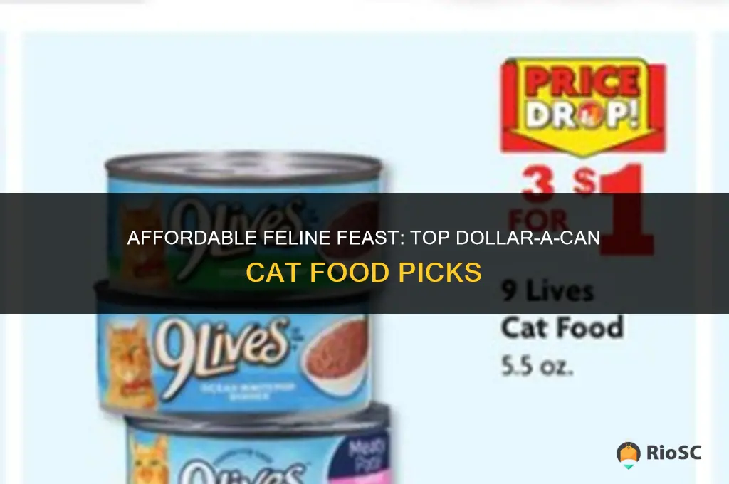 best cat food for a dollar a can