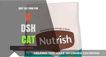 Top-Rated Cat Food Options for Your DSH Feline Friend