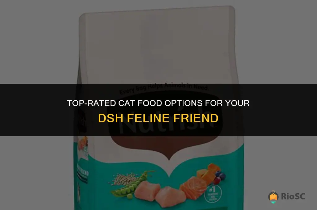 best cat food for a dsh cat