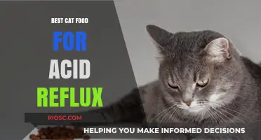 Soothing Your Feline's Tummy: Top Cat Food Picks for Acid Reflux Relief