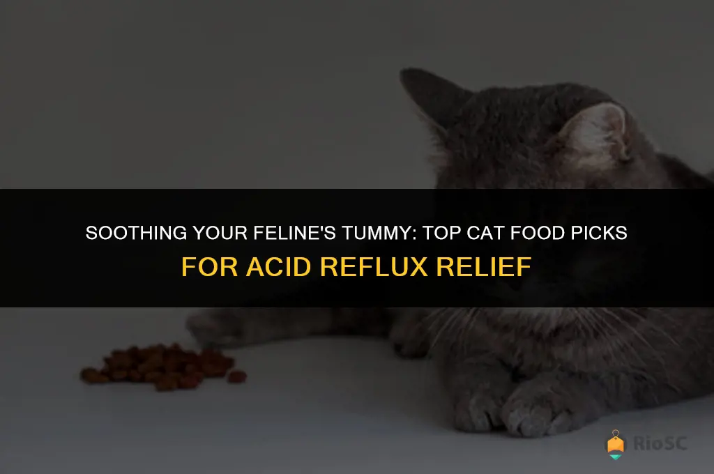 best cat food for acid reflux