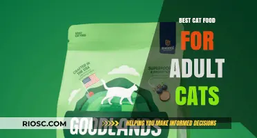 Nutrition for Your Feline Friend: Top Picks for Adult Cat Food