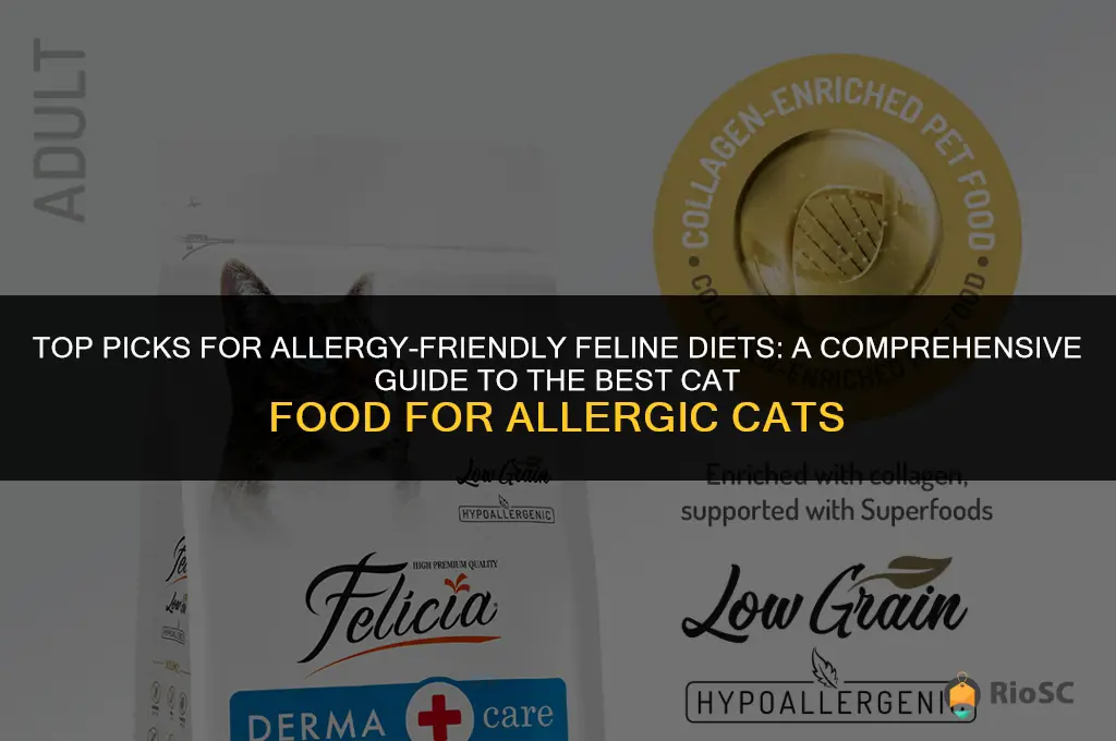 best cat food for allergic cats