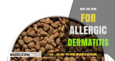 Top Picks for Feline Allergy Sufferers: The Best Cat Food to Soothe Allergic Dermatitis