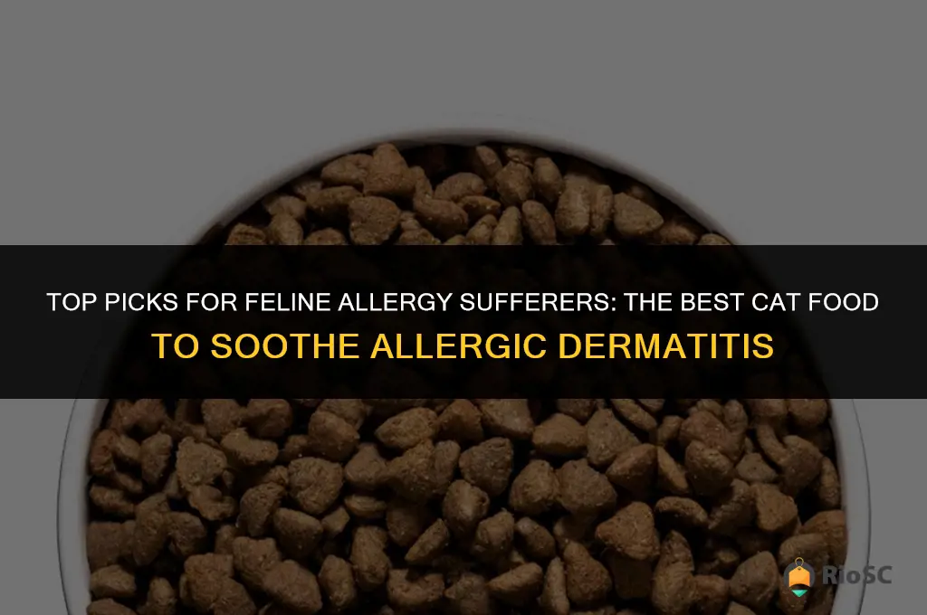 best cat food for allergic dermatitis