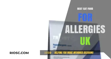 Top Picks for Allergy-Friendly Cat Food in the UK: A Comprehensive Guide