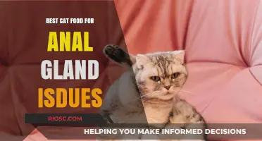 Purr-fect Nutrition: The Ultimate Guide to Cat Food for Anal Gland Health