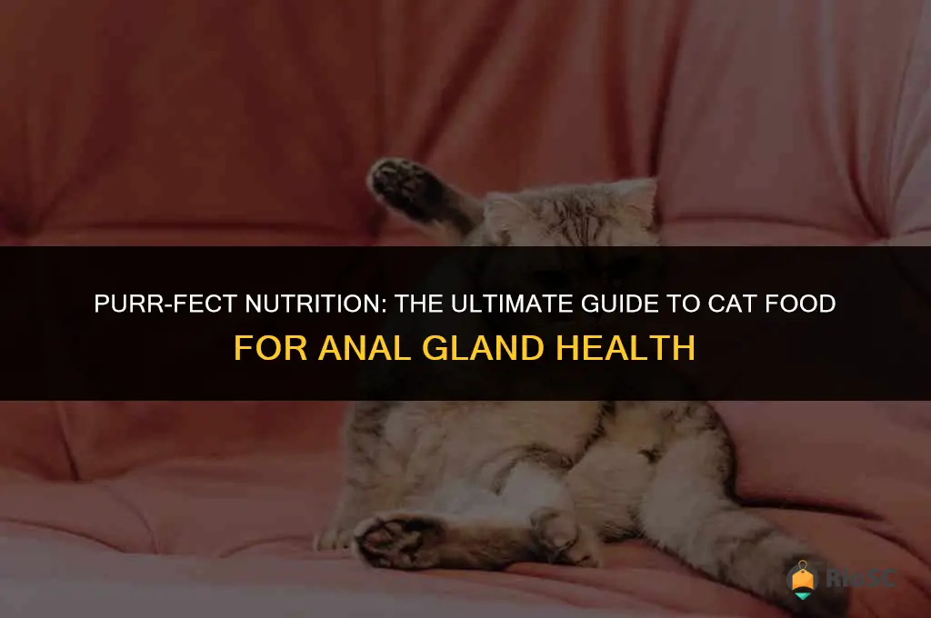 best cat food for anal gland isdues