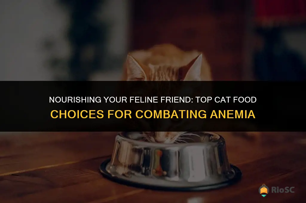 best cat food for anemic cats