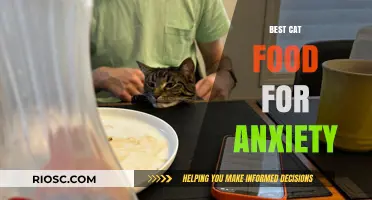 Calm Cuisine for Cats: Top Picks to Ease Your Feline's Anxiety