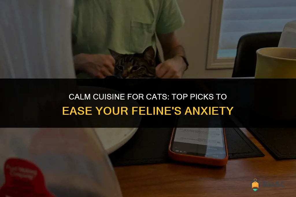 best cat food for anxiety