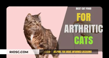 Purr-fect Nutrition: Top Cat Food Choices for Arthritic Felines