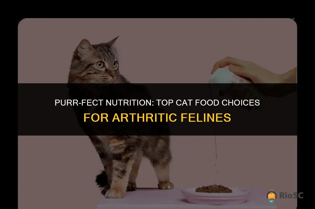 best cat food for arthritic cats