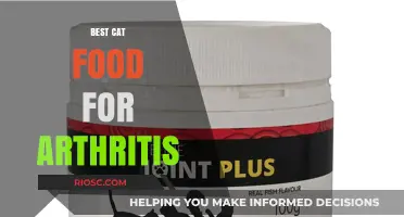 Top Picks for Feline Joint Health: The Best Cat Food for Arthritis