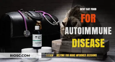 Holistic Nutrition for Feline Health: Best Cat Food Options for Managing Autoimmune Diseases
