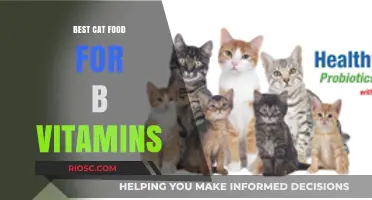 Boosting Feline Health: The Ultimate Guide to Cat Food Rich in B Vitamins