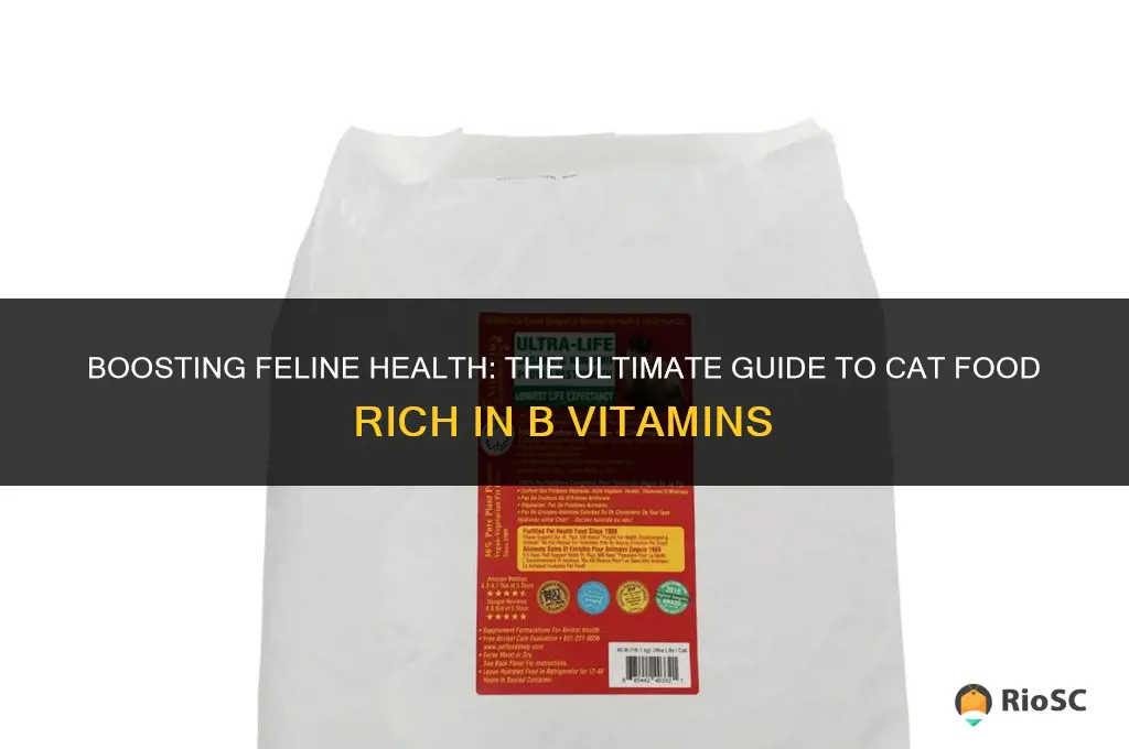 best cat food for b vitamins