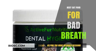 Fresh Breath Feline Feast: Top Cat Food Picks to Combat Bad Breath