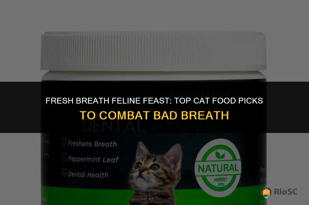 best cat food for bad breath