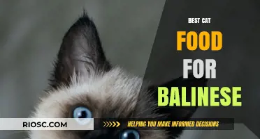 Top Nutrition Picks: The Best Cat Food for Balinese Cats