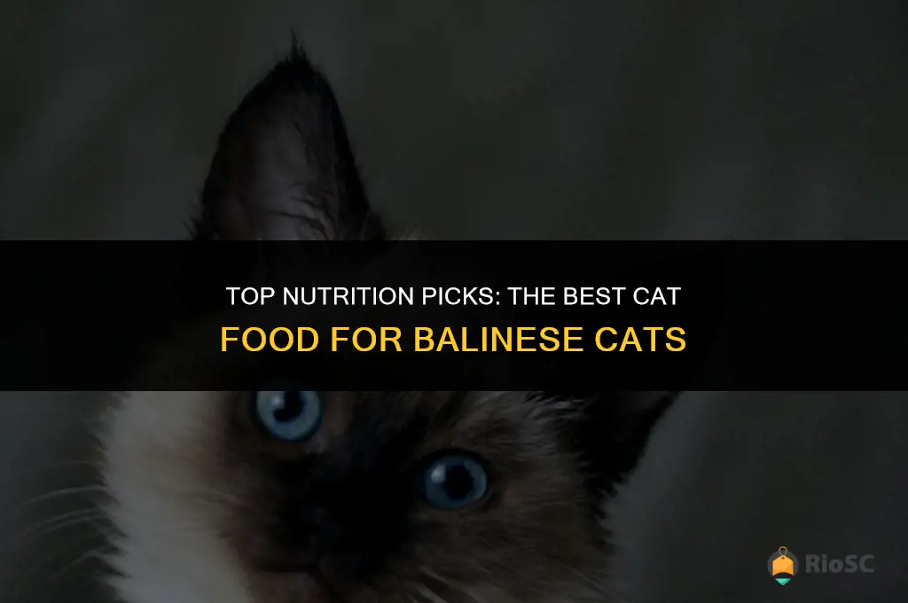 best cat food for balinese