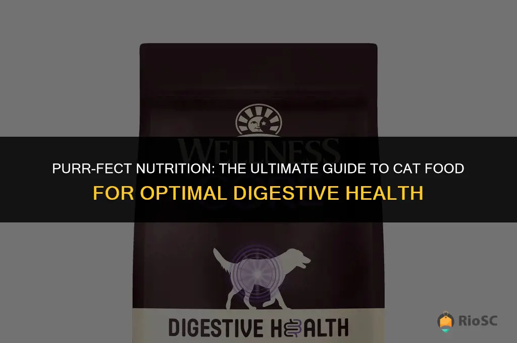 best cat food for balls of poop