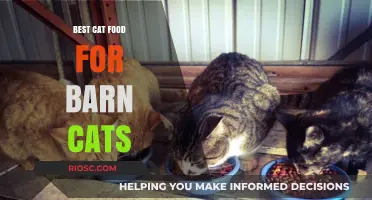 Top-Rated Nutrition for Your Feline Farmhands: The Best Cat Food for Barn Cats
