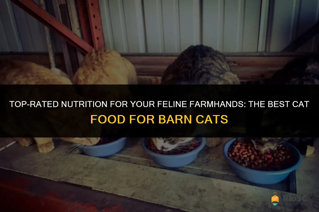 best cat food for barn cats