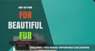 Purr-fectly Nourished: The Ultimate Guide to Cat Food for a Lustrous Coat