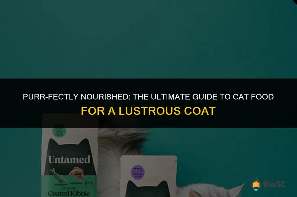 best cat food for beautiful fur