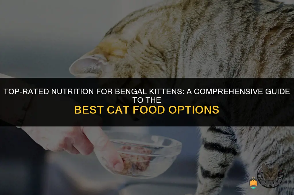 best cat food for bengal kitten