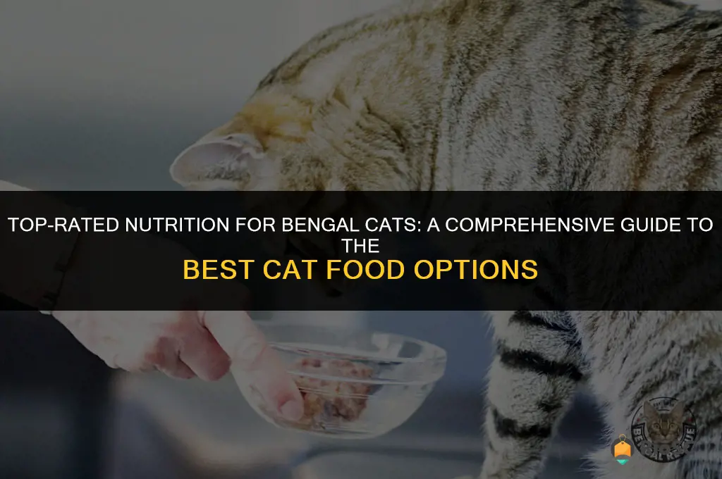 best cat food for bengals