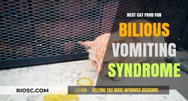 Top Picks for Feline Nutrition: Alleviating Bilious Vomiting Syndrome with the Right Cat Food
