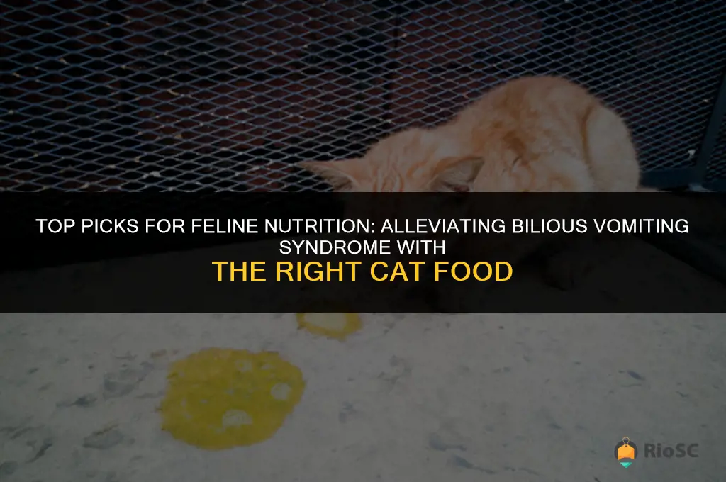 best cat food for bilious vomiting syndrome