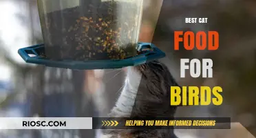 Purr-fectly Balanced: Top Cat Food Choices for Your Feathered Friends