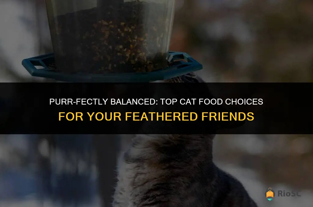 best cat food for birds